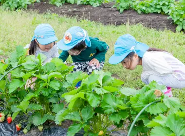 年間行事：4月イメージ写真②